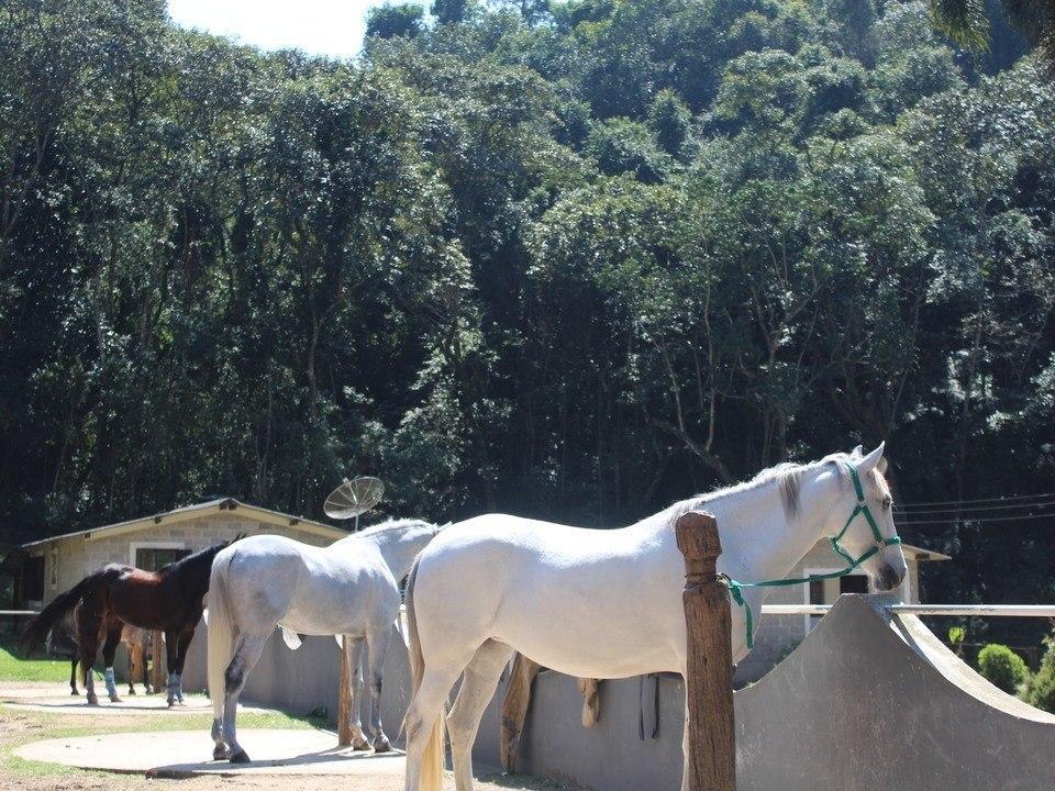 Hotel Fazenda Apm Caieiras Exteriér fotografie